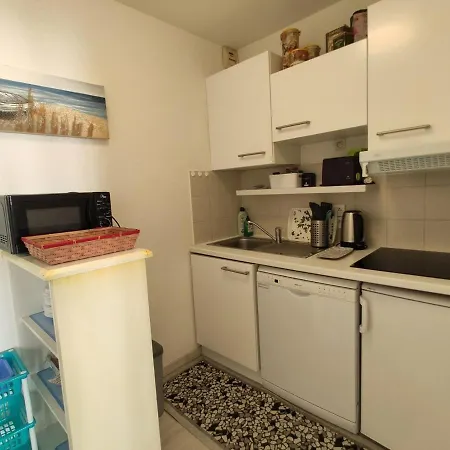 Apartment 2 Pieces Avec Terrasse, Piscine, Parking A 5 Min De La - 4 Couchages - Fr-1-252-158
